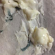 Illustration for article titled Anyone Else Have Some Moldy-Ass Chobani in Their Fridge?